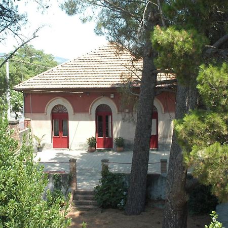 B&B Sotto I Pini Цафферана-Етнеа Екстер'єр фото