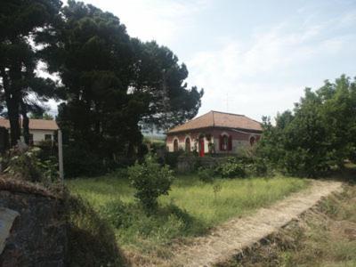 B&B Sotto I Pini Цафферана-Етнеа Екстер'єр фото