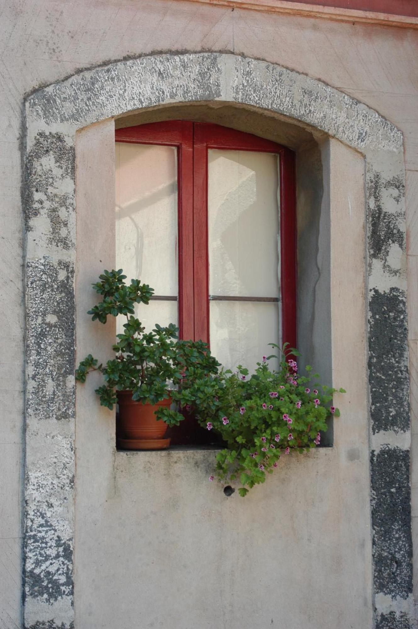 B&B Sotto I Pini Цафферана-Етнеа Екстер'єр фото